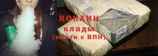 прущие грибы Армянск