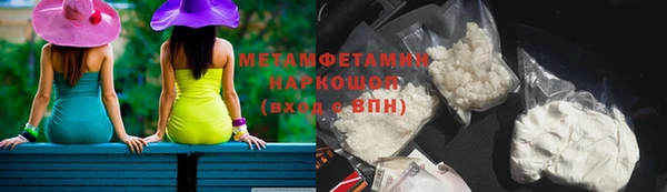 прущие грибы Армянск
