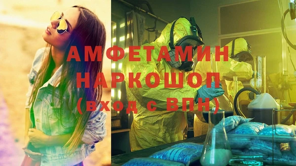 прущие грибы Армянск