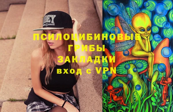 первитин Арсеньев