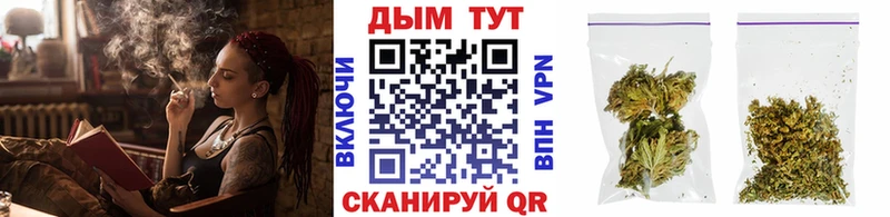 наркошоп  Северобайкальск  Канабис гибрид 